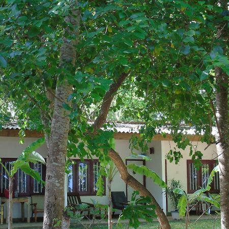 Talalla Coconut Hotel Exterior photo