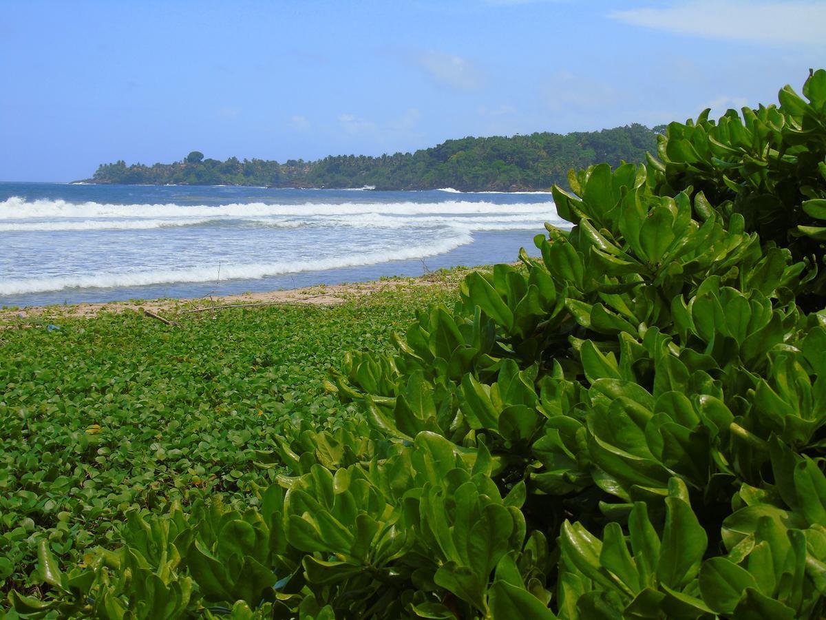 Talalla Coconut Hotel Exterior photo