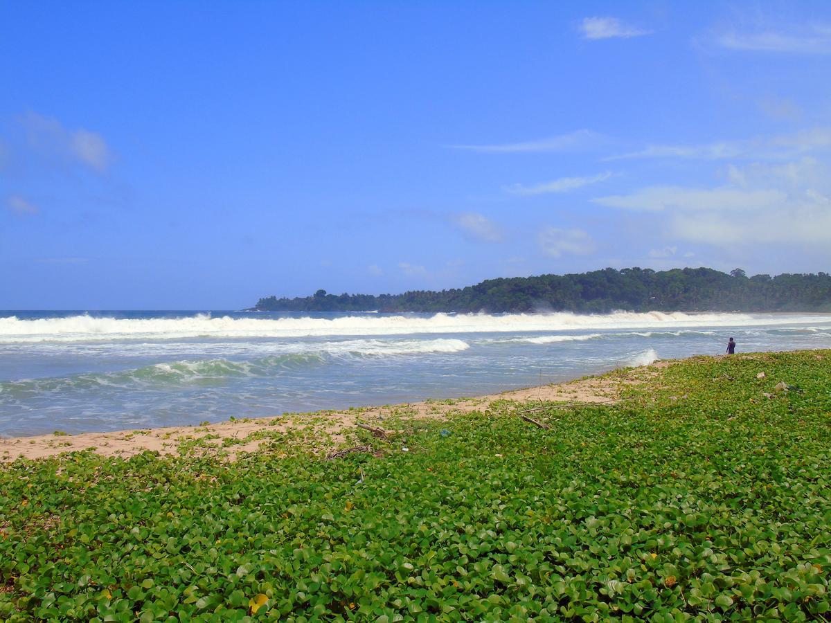 Talalla Coconut Hotel Exterior photo