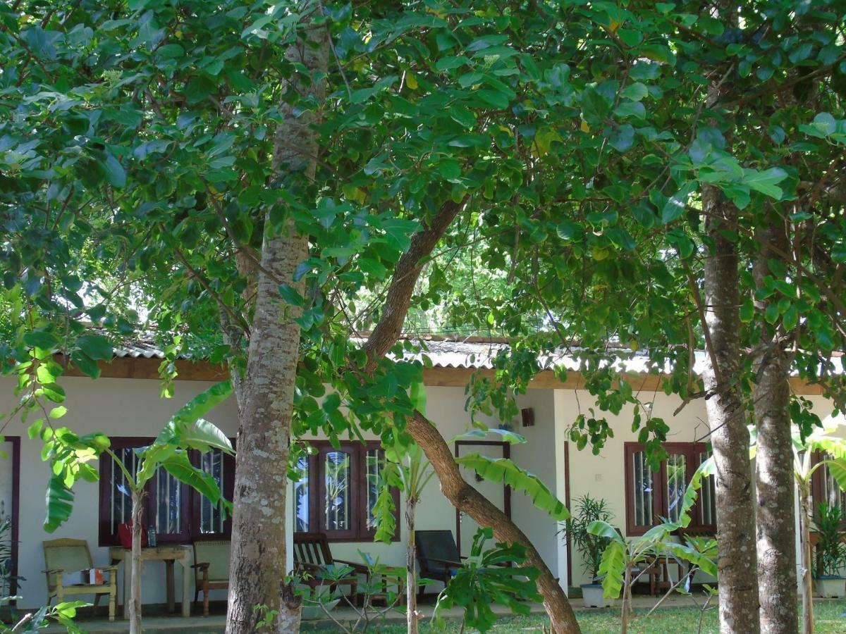 Talalla Coconut Hotel Exterior photo