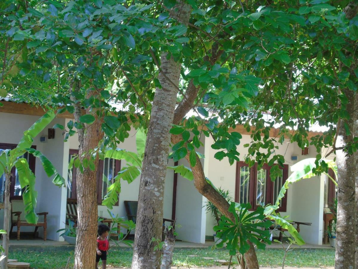 Talalla Coconut Hotel Exterior photo