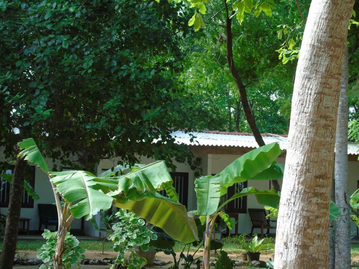 Talalla Coconut Hotel Exterior photo