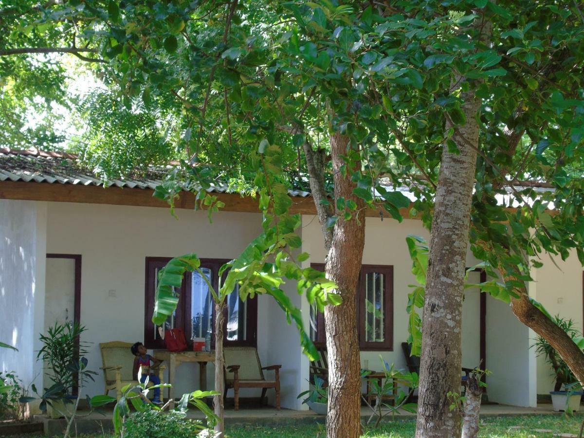 Talalla Coconut Hotel Exterior photo