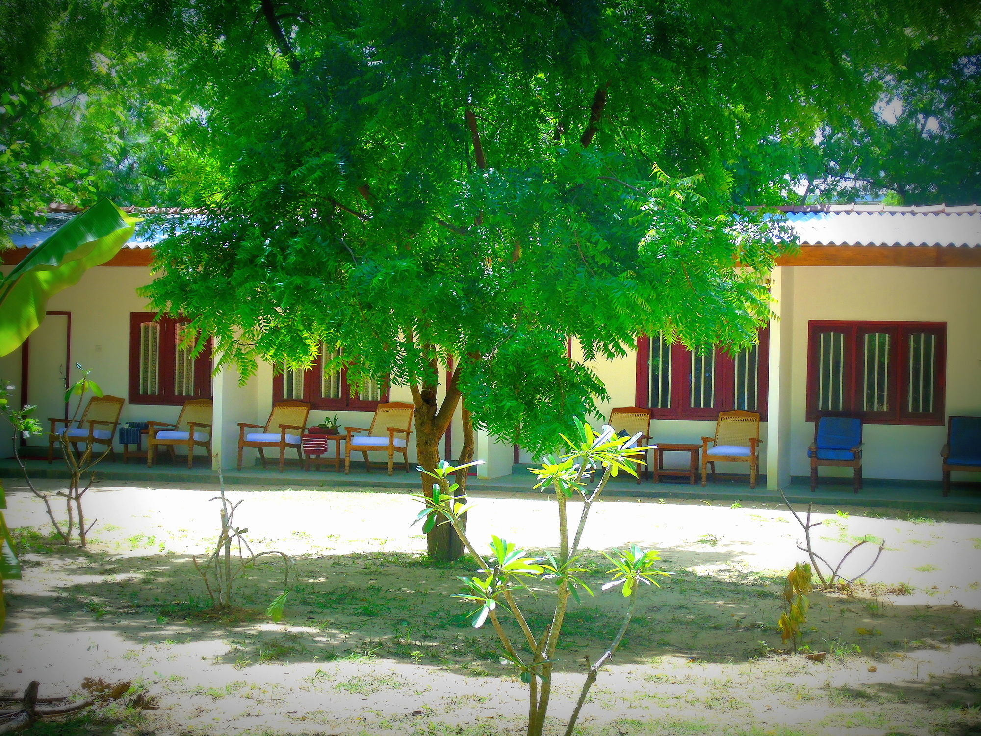 Talalla Coconut Hotel Exterior photo