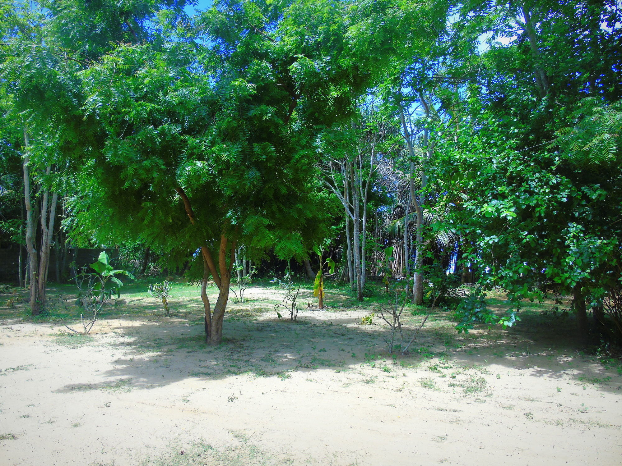 Talalla Coconut Hotel Exterior photo