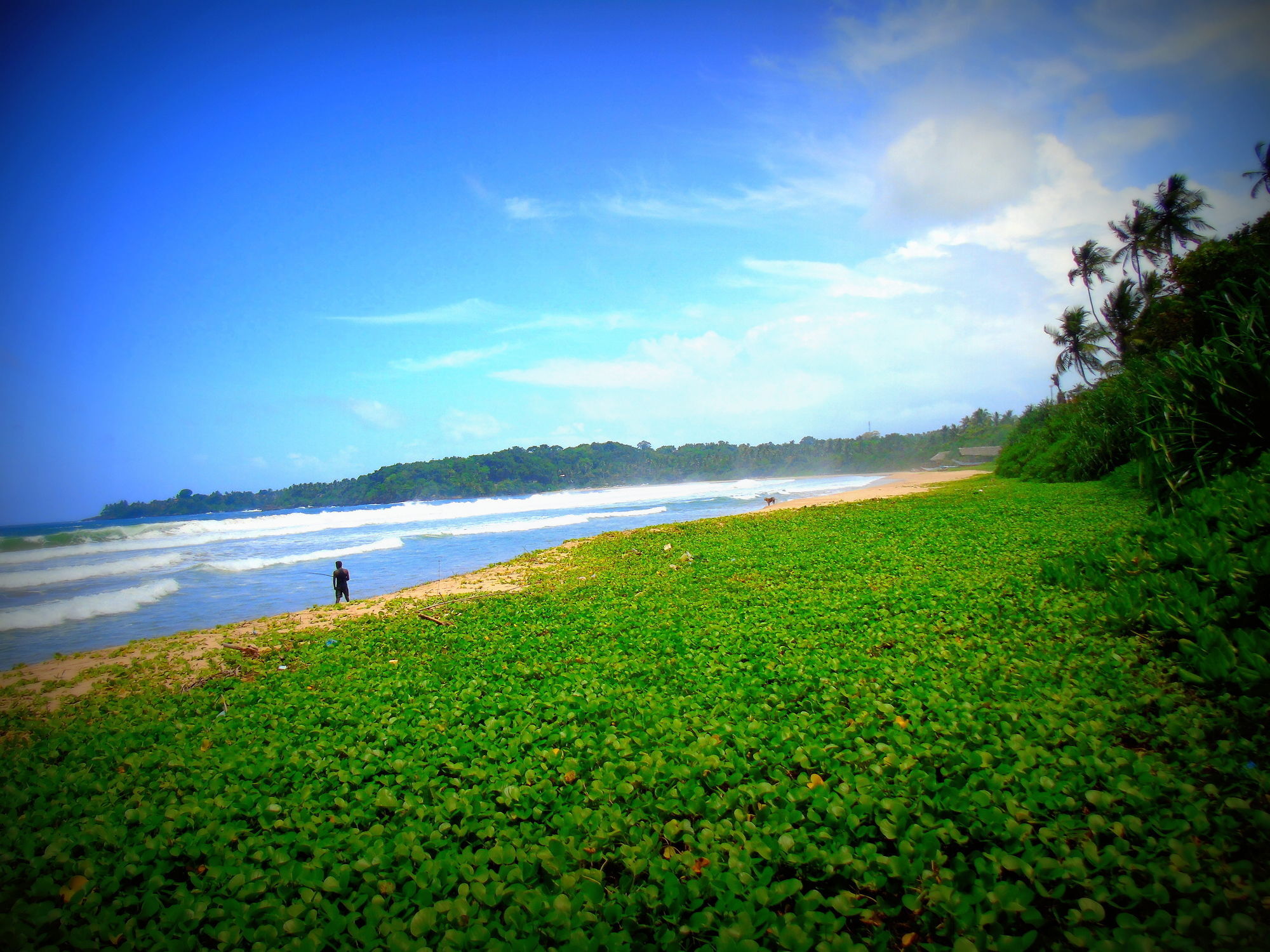 Talalla Coconut Hotel Exterior photo